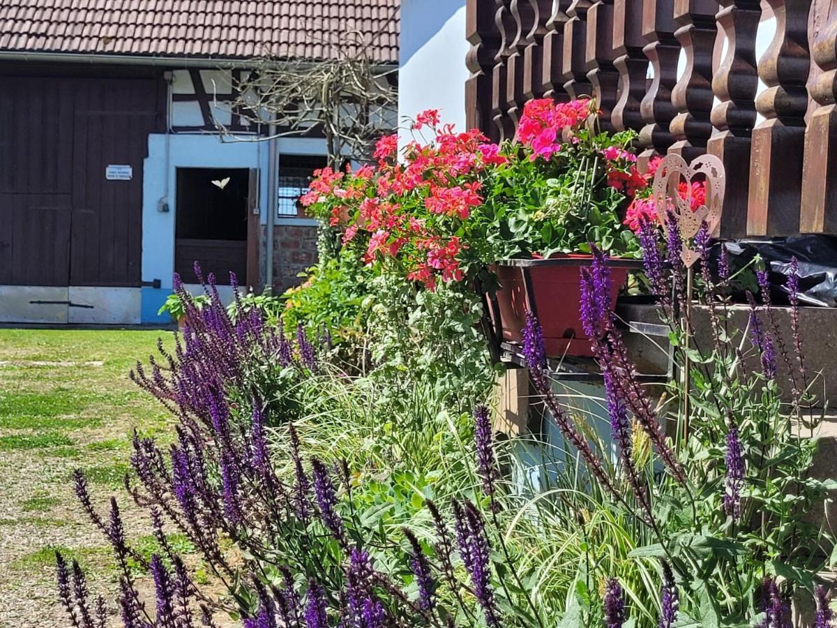 Cosy Holiday Home In Schleithal With Garden 外观 照片