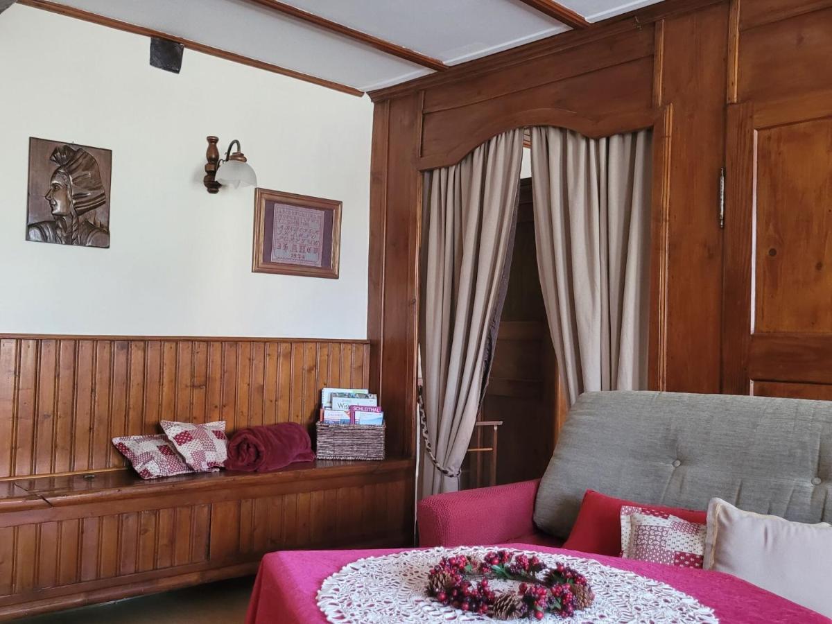 Cosy Holiday Home In Schleithal With Garden 外观 照片