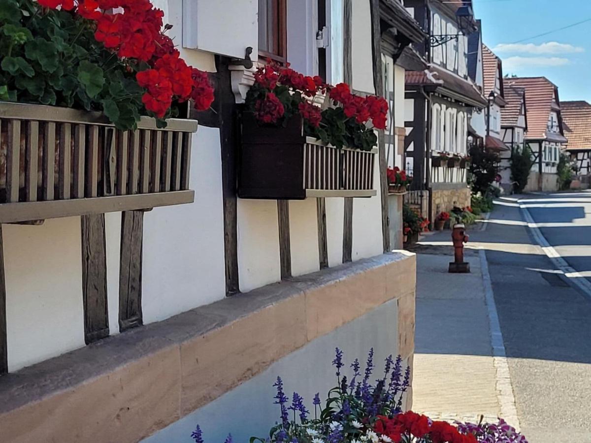 Cosy Holiday Home In Schleithal With Garden 外观 照片